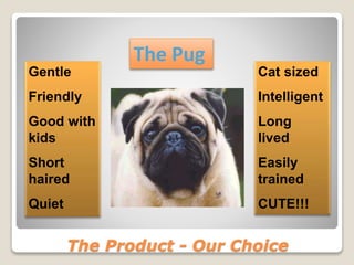 The Product - Our Choice
The Pug
Gentle
Friendly
Good with
kids
Short
haired
Quiet
Cat sized
Intelligent
Long
lived
Easily
trained
CUTE!!!
 