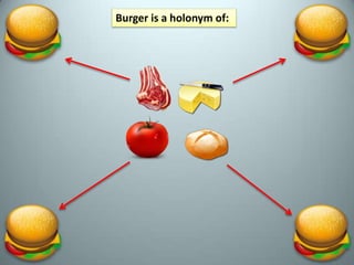 Meronyms and Holonyms