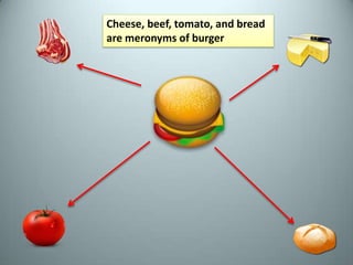 Meronyms and Holonyms are better described in relation to computer science terms as:Meronym terms: 	“has a” relationshipHolonym terms: 	“part of” relationshipHyponym terms: “Is a” relationshipMeronyms and holonyms are oppositesHyponyms and hypernyms are opposites