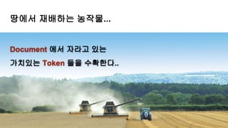땅에서 재배하는 농작물...
Document 에서 자라고 있는
가치있는 Token 들을 수확한다..
 