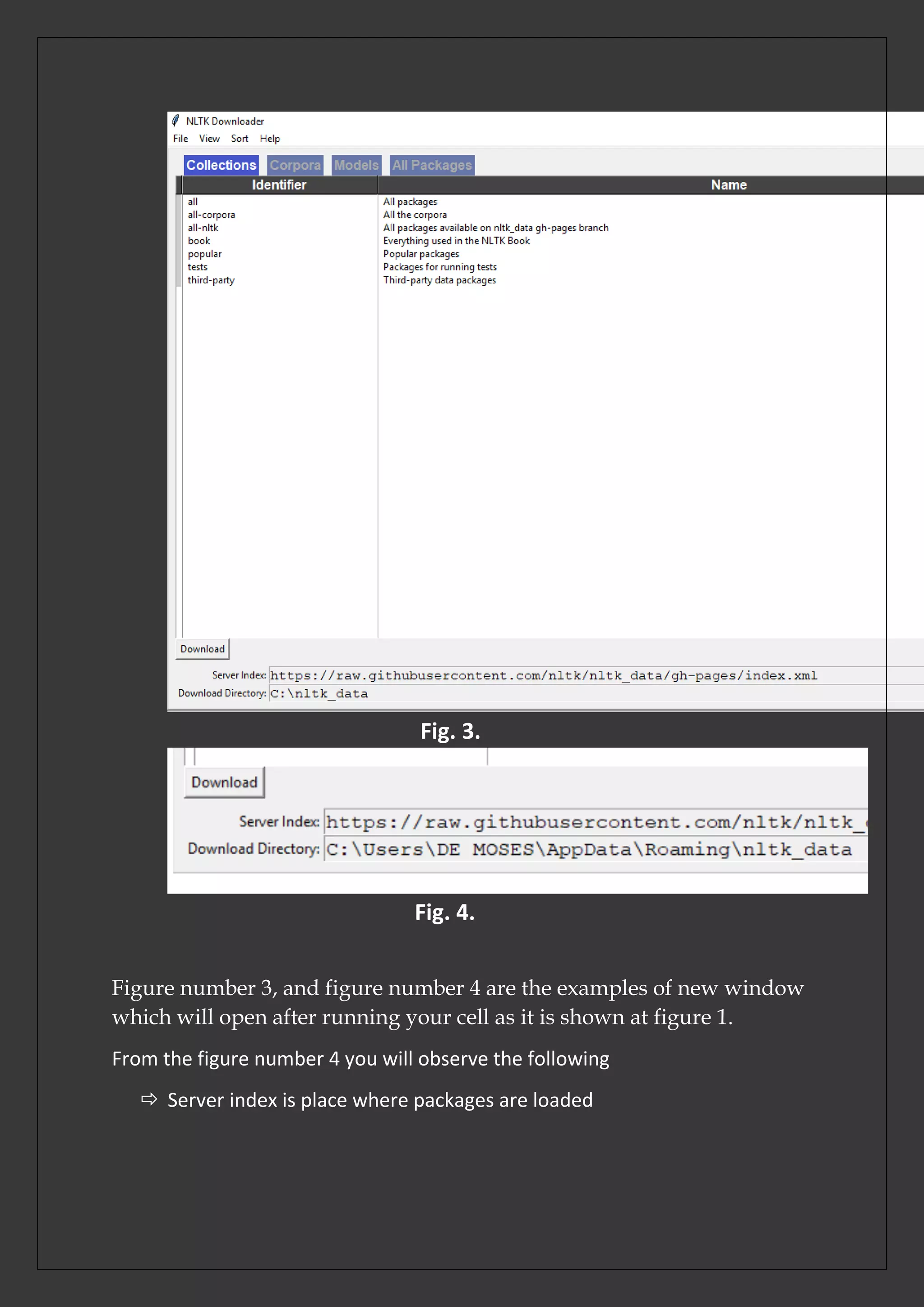 Fig. 3.
Fig. 4.
Figure number 3, and figure number 4 are the examples of new window
which will open after running your cell as it is shown at figure 1.
From the figure number 4 you will observe the following
 Server index is place where packages are loaded
 