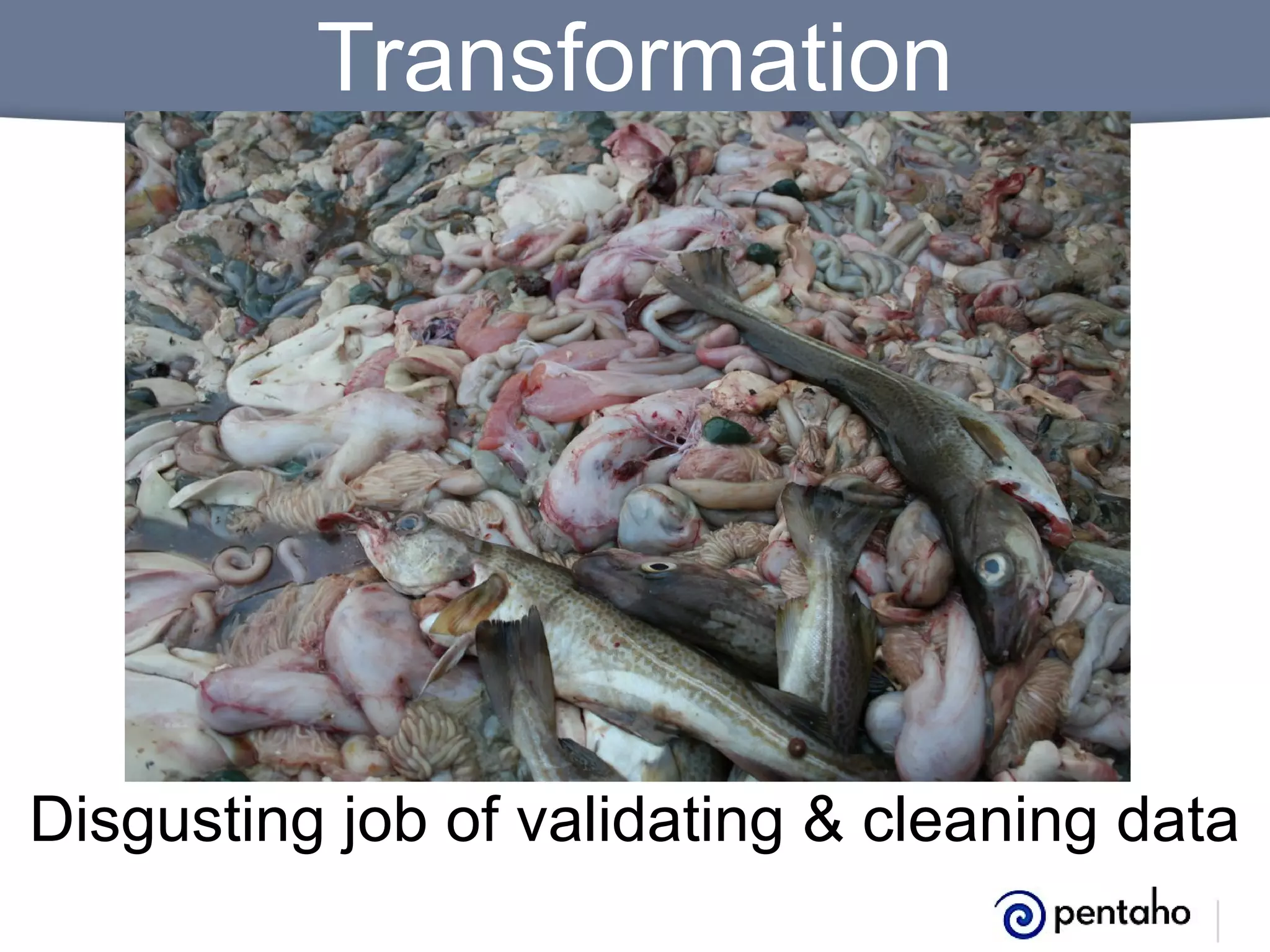 Transformation

Disgusting job of validating & cleaning data

 