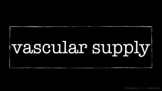 vascular supply 
EmergencyMedicineIreland.com 
 