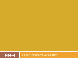 NM-4   Fuente Imágenes: Varios sitios
 
