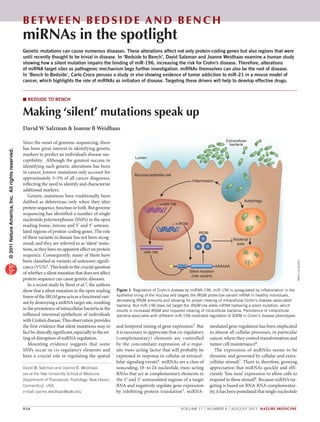 Bet ween Bedside and Bench
miRNAs in the spotlight
Genetic mutations can cause numerous diseases. These alterations affect not only protein-coding genes but also regions that were
until recently thought to be trivial in disease. In ‘Bedside to Bench’, David Salzman and Joanne Weidhaas examine a human study
showing how a silent mutation impairs the binding of miR-196, increasing the risk for Crohn’s disease. Therefore, alterations
of miRNA target sites as pathogenic mechanism begs further investigation. miRNAs themselves can also be the root of disease.
In ‘Bench to Bedside’, Carlo Croce peruses a study in vivo showing evidence of tumor addiction to miR-21 in a mouse model of
cancer, which highlights the role of miRNAs as initiators of disease. Targeting these drivers will help to develop effective drugs.
Since the onset of genomic sequencing, there
has been great interest in identifying genetic
markers to predict an individual’s disease sus-
ceptibility. Although the greatest success in
identifying such genetic alterations has been
in cancer, known mutations only account for
approximately 3–5% of all cancer diagnoses,
reflecting the need to identify and characterize
additional markers.
Genetic mutations have traditionally been
dubbed as deleterious only when they alter
proteinsequence,functionorboth.Butgenome
sequencing has identified a number of single
nucleotide polymorphisms (SNPs) in the open
reading frame, introns and 5′ and 3′ untrans-
lated regions of protein-coding genes. The role
of these variants in disease has not been recog-
nized, and they are referred to as ‘silent’ muta-
tions, as they have no apparent effect on protein
sequence. Consequently, many of them have
been classified as variants of unknown signifi-
cance(VUS)1.This leads tothe crucial question
of whether a silent mutation that does not affect
protein sequence can cause genetic diseases.
In a recent study by Brest et al.2, the authors
show that a silent mutation in the open reading
frameoftheIRGMgeneactsasafunctionalvari-
ant by destroying a miRNA target site, resulting
in the persistence of intracellular bacteria in the
inflamed intestinal epithelium of individuals
with Crohn’s disease. This observation provides
the first evidence that silent mutations may in
factbeclinicallysignificant,especiallyintheset-
ting of disruption of miRNA regulation.
Mounting evidence suggests that some
SNPs occur in cis-regulatory elements and
have a crucial role in regulating the spatial
and temporal timing of gene expression3. But
it is necessary to appreciate that cis-regulatory
(complementary) elements are controlled
by the concomitant expression of a requi-
site trans-acting factor that will probably be
expressed in response to cellular or extracel-
lular signaling events4. miRNAs are a class of
noncoding, 18- to 24-nucleotide, trans-acting
RNAs that act at complementary elements in
the 5′ and 3′ untranslated regions of a target
RNA and negatively regulate gene expression
by inhibiting protein translation5. miRNA-
mediated gene regulation has been implicated
in almost all cellular processes, in particular
cancer, where they control transformation and
tumor cell maintenance6.
The expression of miRNAs seems to be
dynamic and governed by cellular and extra-
cellular stimuli7. There is, therefore, growing
appreciation that miRNAs quickly and effi-
ciently ‘fine tune’ expression to allow cells to
respond to these stimuli8. Because miRNA tar-
geting is based on RNA-RNA complementar-
ity, it has been postulated that single nucleotide
David W. Salzman and Joanne B. Weidhaas
are at the Yale University School of Medicine
Department of Therapeutic Radiology, New Haven,
Connecticut, USA.
e-mail: joanne.weidhaas@yale.edu
■ BeDSIDe To BeNCh
Making ‘silent’ mutations speak up
David W Salzman & Joanne B Weidhaas
Lumen
Inflammation
Autophagy
Bacterial
lysis
miR-196
miR-196
IRGM
AAAAAATTG
Silent mutation
(risk variant)
Mucosal epithelial cell
Extracellular
bacteria
IRGM
Figure 1 Regulation of Crohn’s disease by miRNA-196. miR-196 is upregulated by inflammation in the
epithelial lining of the mucosa and targets the IRGM protective variant mRNA in healthy individuals,
decreasing IRGM amounts and allowing for proper clearing of intracellular Crohn’s disease–associated
bacteria. But miR-196 does not target the IRGM risk allele mRNA harboring a silent mutation, which
results in increased IRGM and impaired clearing of intracellular bacteria. Persistence of intracellular
bacteria associates with different miR-196–mediated regulation of IGRM in Crohn’s disease phenotypes.
MaryLouQuillen
934 volume 17 | number 8 | august 2011 nature medicine
©2011NatureAmerica,Inc.Allrightsreserved.
 