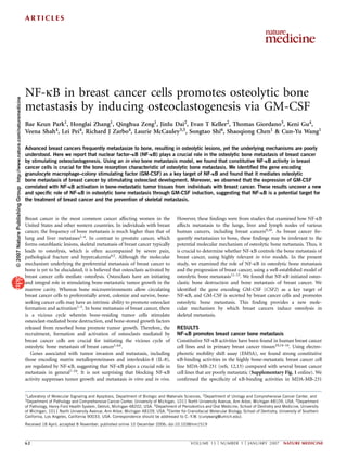 ARTICLES




                                                                      NF-kB in breast cancer cells promotes osteolytic bone
© 2007 Nature Publishing Group http://www.nature.com/naturemedicine




                                                                      metastasis by inducing osteoclastogenesis via GM-CSF
                                                                      Bae Keun Park1, Honglai Zhang1, Qinghua Zeng1, Jinlu Dai2, Evan T Keller2, Thomas Giordano3, Keni Gu4,
                                                                      Veena Shah4, Lei Pei4, Richard J Zarbo4, Laurie McCauley3,5, Songtao Shi6, Shaoqiong Chen1 & Cun-Yu Wang1

                                                                      Advanced breast cancers frequently metastasize to bone, resulting in osteolytic lesions, yet the underlying mechanisms are poorly
                                                                      understood. Here we report that nuclear factor–jB (NF-jB) plays a crucial role in the osteolytic bone metastasis of breast cancer
                                                                      by stimulating osteoclastogenesis. Using an in vivo bone metastasis model, we found that constitutive NF-jB activity in breast
                                                                      cancer cells is crucial for the bone resorption characteristic of osteolytic bone metastasis. We identiﬁed the gene encoding
                                                                      granulocyte macrophage–colony stimulating factor (GM-CSF) as a key target of NF-jB and found that it mediates osteolytic
                                                                      bone metastasis of breast cancer by stimulating osteoclast development. Moreover, we observed that the expression of GM-CSF
                                                                      correlated with NF-jB activation in bone-metastatic tumor tissues from individuals with breast cancer. These results uncover a new
                                                                      and speciﬁc role of NF-jB in osteolytic bone metastasis through GM-CSF induction, suggesting that NF-jB is a potential target for
                                                                      the treatment of breast cancer and the prevention of skeletal metastasis.


                                                                      Breast cancer is the most common cancer affecting women in the                     However, these ﬁndings were from studies that examined how NF-kB
                                                                      United States and other western countries. In individuals with breast              affects metastasis to the lungs, liver and lymph nodes of various
                                                                                                                                                         human cancers, including breast cancers9,10. As breast cancer fre-
                                                                      cancer, the frequency of bone metastasis is much higher than that of
                                                                      lung and liver metastases1–4. In contrast to prostate cancer, which                quently metastasizes to bone, these ﬁndings may be irrelevant to the
                                                                      forms osteoblastic lesions, skeletal metastasis of breast cancer typically         potential molecular mechanism of osteolytic bone metastasis. Thus, it
                                                                      leads to osteolysis, which is often accompanied by severe pain,                    is crucial to determine whether NF-kB controls the bone metastasis of
                                                                      pathological fracture and hypercalcemia4,5. Although the molecular                 breast cancer, using highly relevant in vivo models. In the present
                                                                      mechanism underlying the preferential metastasis of breast cancer to               study, we examined the role of NF-kB in osteolytic bone metastasis
                                                                      bone is yet to be elucidated, it is believed that osteoclasts activated by         and the progression of breast cancer, using a well-established model of
                                                                                                                                                         osteolytic bone metastasis11–13. We found that NF-kB initiated osteo-
                                                                      breast cancer cells mediate osteolysis. Osteoclasts have an initiating
                                                                      and integral role in stimulating bone-metastatic tumor growth in the               clastic bone destruction and bone metastasis of breast cancer. We
                                                                      marrow cavity. Whereas bone microenvironments allow circulating                    identiﬁed the gene encoding GM-CSF (CSF2) as a key target of
                                                                      breast cancer cells to preferentially arrest, colonize and survive, bone-          NF-kB, and GM-CSF is secreted by breast cancer cells and promotes
                                                                      seeking cancer cells may have an intrinsic ability to promote osteoclast           osteolytic bone metastasis. This ﬁnding provides a new mole-
                                                                      formation and activation1–5. In bone metastasis of breast cancer, there            cular mechanism by which breast cancers induce osteolysis in
                                                                      is a vicious cycle wherein bone-residing tumor cells stimulate                     skeletal metastasis.
                                                                      osteoclast-mediated bone destruction, and bone-stored growth factors
                                                                                                                                                         RESULTS
                                                                      released from resorbed bone promote tumor growth. Therefore, the
                                                                                                                                                         NF-jB promotes breast cancer bone metastasis
                                                                      recruitment, formation and activation of osteoclasts mediated by
                                                                      breast cancer cells are crucial for initiating the vicious cycle of                Constitutive NF-kB activities have been found in human breast cancer
                                                                      osteolytic bone metastasis of breast cancer1,4,6.                                  cell lines and in primary breast cancer tissues10,14–16. Using electro-
                                                                         Genes associated with tumor invasion and metastasis, including                  phoretic mobility shift assay (EMSA), we found strong constitutive
                                                                                                                                                         kB-binding activities in the highly bone-metastatic breast cancer cell
                                                                      those encoding matrix metalloproteinases and interleukin-8 (IL-8),
                                                                      are regulated by NF-kB, suggesting that NF-kB plays a crucial role in              line MDA-MB-231 (refs. 12,13) compared with several breast cancer
                                                                      metastasis in general7–10. It is not surprising that blocking NF-kB                cell lines that are poorly metastatic (Supplementary Fig. 1 online). We
                                                                                                                                                         conﬁrmed the speciﬁcity of kB-binding activities in MDA-MB-231
                                                                      activity suppresses tumor growth and metastasis in vitro and in vivo.


                                                                      1Laboratory  of Molecular Signaling and Apoptosis, Department of Biologic and Materials Sciences, 2Department of Urology and Comprehensive Cancer Center, and
                                                                      3Department   of Pathology and Comprehensive Cancer Center, University of Michigan, 1011 North University Avenue, Ann Arbor, Michigan 48109, USA. 4Department
                                                                      of Pathology, Henry Ford Health System, Detroit, Michigan 48202, USA. 5Department of Periodontics and Oral Medicine, School of Dentistry and Medicine, University
                                                                      of Michigan, 1011 North University Avenue, Ann Arbor, Michigan 48109, USA. 6Center for Craniofacial Molecular Biology, School of Dentistry, University of Southern
                                                                      California, Los Angeles, California 90033, USA. Correspondence should be addressed to C.-Y.W. (cunywang@umich.edu).
                                                                      Received 18 April; accepted 8 November; published online 10 December 2006; doi:10.1038/nm1519



                                                                                                                                                                                [              [
                                                                      62                                                                                         VOLUME 13          NUMBER 1       JANUARY 2007     NATURE MEDICINE