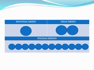 MONOSACARIDO                   DISACÁRIDO




               POLISACÁRIDOS
 