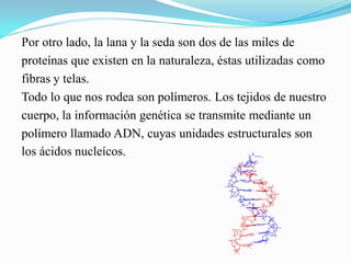 Por otro lado, la lana y la seda son dos de las miles de
proteínas que existen en la naturaleza, éstas utilizadas como
fibras y telas.
Todo lo que nos rodea son polímeros. Los tejidos de nuestro
cuerpo, la información genética se transmite mediante un
polímero llamado ADN, cuyas unidades estructurales son
los ácidos nucleícos.
 