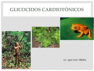 GLICOCIDOS CARDIOTÓNICOS
Lic. Igor Ivan Villalta
 