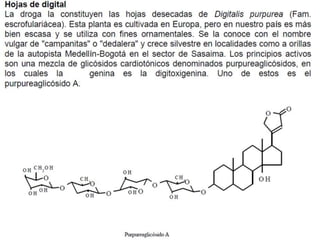 DIGOXINA
• La digoxina inhibe la bomba
ATPasa de Na+/K+, una proteína
de membrana que regula los
flujos de sodio y potasio...