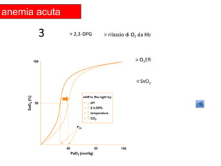 > 2,3-DPG 
> rilascio di O2 da Hb 
> O2ER 
< SvO2 
anemia acuta 
3 
 