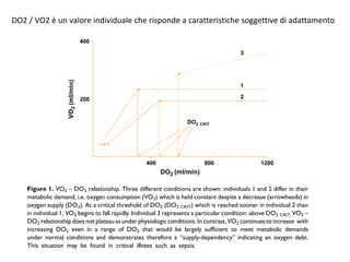 DO2 / VO2 è un valore individuale che risponde a caratteristiche soggettive di adattamento 
 