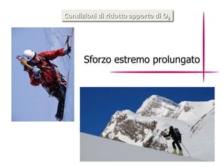 Condizioni di ridotto apporto di O2 
Sforzo estremo prolungato 
 