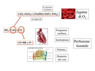 Perfusione 
tissutale 
CaO2=(SaO2x 1,34x[Hb])+(0,03 x PaO2) 
Frequenza 
cardiaca 
Inotropismo 
Volemia 
Diametro 
dei vasi 
legame 
di O2 
DO2= CaO2 x CO 
CO=HR x SV 
O2 legato Hb 
O2 disciolto 
nel plasma 
 