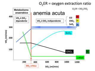 400 
300 
200 
100 
SvO2 
200 400 600 800 1000 1200 
DO2 critica 
VO2 è DO2-indipendente 
VO2 è DO2- 
dipendente 
CO 
ERO2 
SvO2 
ERO2 
Lattati 
Metabolismo 
anaerobico 
O2ER = oxygen extraction ratio 
O2ER = DO2/VO2 
anemia acuta 
 