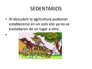 SEDENTARIOS
• Al descubrir la agricultura pudieron
establecerse en un solo sito ya no se
trasladaron de un lugar a otro.
•