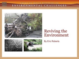 Reviving the Environment By Eric Roberts 