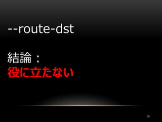29
--route-dst
結論：
役に立たない
 