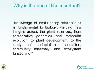 Why is the tree of life important? “ Knowledge of evolutionary relationships is fundamental to biology, yielding new insights across the plant sciences, from comparative genomics and molecular evolution, to plant development, to the study of adaptation, speciation, community assembly, and ecosystem functioning.” 