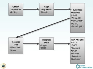 Obtain sequences GetSeq Align sequences Muscle Build Tree FastTree (aML) Ninja (NJ) PHYLIP (MP, NJ, ML) RAxML (ML) Visualize Tree iPlant Tree Viewer Integrate Data Lopper TNRS Run Analysis CACE DACE Contrast OUch Picante Penalized likelihood 