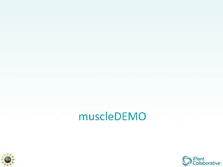 muscleDEMO 