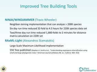 Improved Tree Building Tools NINJA/WINDJAMMER  (Travis Wheeler) Neighbor-Joining implementation that can analyze > 200K species  Six day run time reduced 32-fold to 4.5 hours for 220K species data set Two/three day run time reduced 1,800-folds to 2 minutes for distance matrix calculation on 220K set  RAxML-Light  (Alexandros Stamatakis) Large Scale Maximum Likelihood implementation  55K Tree published  (Stephen A. Smith et al., “Understanding angiosperm diversification using small and large phylogenetic trees,” American Journal of Botany 98, no. 3 (2011): 404 -414) 