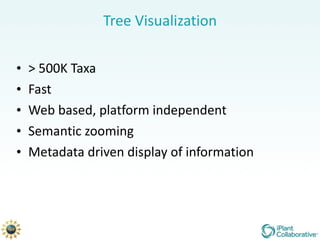 Tree Visualization > 500K Taxa Fast Web based, platform independent Semantic zooming Metadata driven display of information 