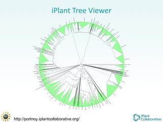 iPlant Tree Viewer http://portnoy.iplantcollaborative.org/ 