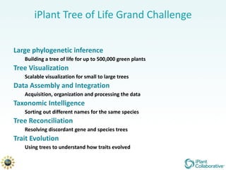 iPlant Tree of Life Grand Challenge Large phylogenetic inference Building a tree of life for up to 500,000 green plants Tree Visualization Scalable visualization for small to large trees Data Assembly and Integration Acquisition, organization and processing the data Taxonomic Intelligence Sorting out different names for the same species Tree Reconciliation Resolving discordant gene and species trees Trait Evolution Using trees to understand how traits evolved 