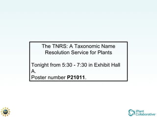 The TNRS: A Taxonomic Name Resolution Service for Plants Tonight from 5:30 - 7:30 in Exhibit Hall A. Poster number  P21011 . 