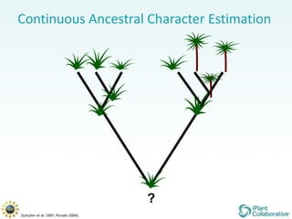 Continuous Ancestral Character Estimation  (Schulter  et al.  1997, Paradis 2004) ? 