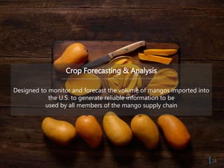 Crop Forecasting & Analysis
Designed to monitor and forecast the volume of mangos imported into
the U.S. to generate reliable information to be
used by all members of the mango supply chain
| 28
 