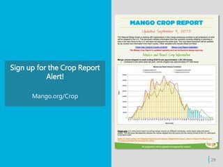 Sign up for the Crop Report
Alert!
Mango.org/Crop
| 29
 
