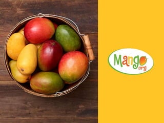 National Mango Board 2016 Programs