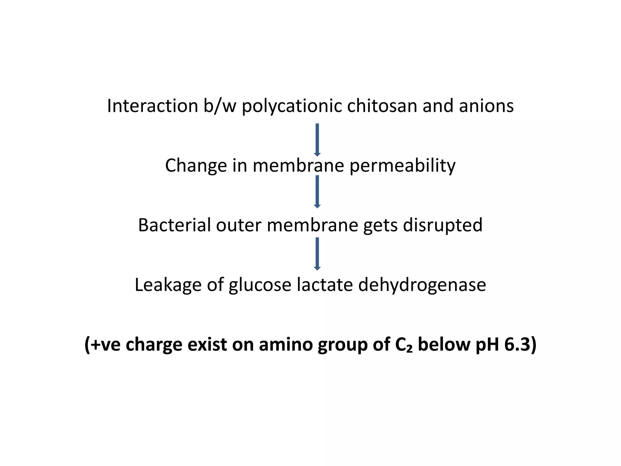 Interaction b/w polycationic chitosan and anions
Change in membrane permeability
Bacterial outer membrane gets disrupted
Leakage of glucose lactate dehydrogenase
(+ve charge exist on amino group of C₂ below pH 6.3)
 