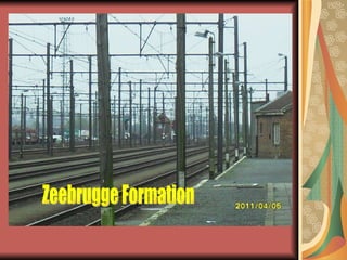 Zeebrugge Formation 
