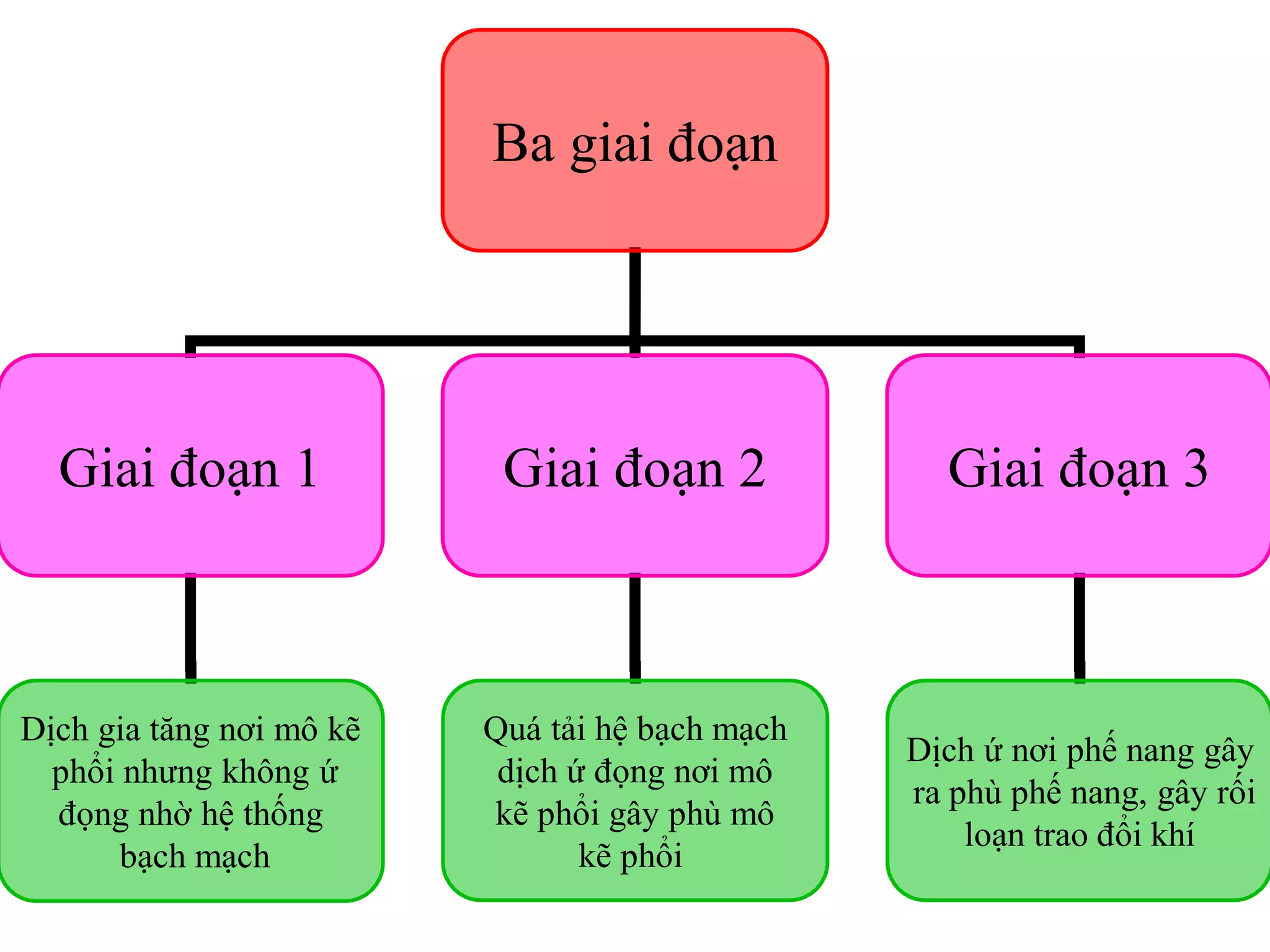 Ba giai đoạn
Giai đoạn 1 Giai đoạn 2 Giai đoạn 3
Dịch gia tăng nơi mô kẽ
phổi nhưng không ứ
đọng nhờ hệ thống
bạch mạch
Quá tải hệ bạch mạch
dịch ứ đọng nơi mô
kẽ phổi gây phù mô
kẽ phổi
Dịch ứ nơi phế nang gây
ra phù phế nang, gây rối
loạn trao đổi khí
 