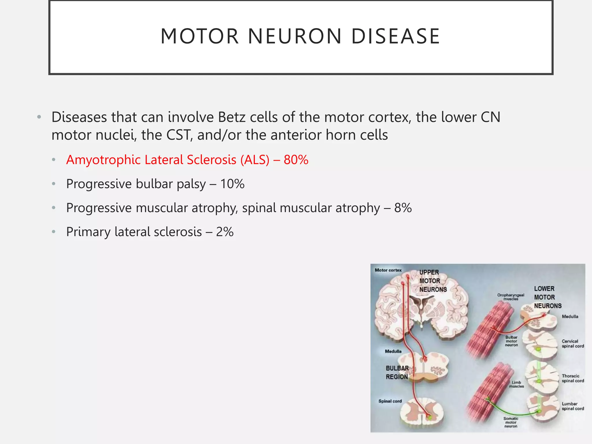 MOTOR NEURON DISEASE
• Diseases that can involve Betz cells of the motor cortex, the lower CN
motor nuclei, the CST, and/or the anterior horn cells
• Amyotrophic Lateral Sclerosis (ALS) – 80%
• Progressive bulbar palsy – 10%
• Progressive muscular atrophy, spinal muscular atrophy – 8%
• Primary lateral sclerosis – 2%
 