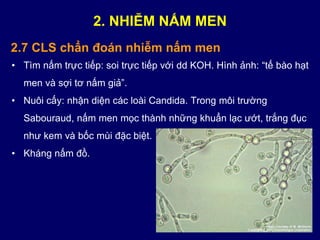 • Tìm nấm trực tiếp: soi trực tiếp với dd KOH. Hình ảnh: “tế bào hạt
men và sợi tơ nấm giả”.
• Nuôi cấy: nhận diện các loài Candida. Trong môi trường
Sabouraud, nấm men mọc thành những khuẩn lạc ướt, trắng đục
như kem và bốc mùi đặc biệt.
• Kháng nấm đồ.
2.7 CLS chẩn đoán nhiễm nấm men
2. NHIỄM NẤM MEN
 