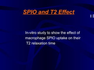SPIO and T2 Effect
In-vitro study to show the effect of
macrophage SPIO uptake on their
T2 relaxation time
 