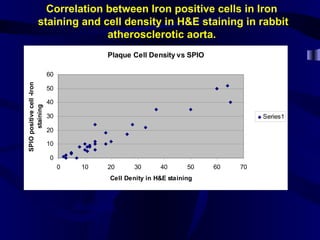 Plaque Cell Density vs SPIO
0
10
20
30
40
50
60
0 10 20 30 40 50 60 70
Cell Denity in H&E staining
SPIOpositivecell-Iron
staining
Series1
R=0.956
Correlation between Iron positive cells in Iron
staining and cell density in H&E staining in rabbit
atherosclerotic aorta.
 