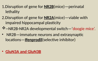 Doogie Mouse NMDA RECEPTOR AND DRUGS ACTING ON IT copy.pptx