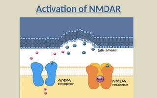 NMDA RECEPTOR AND DRUGS ACTING ON IT copy.pptx