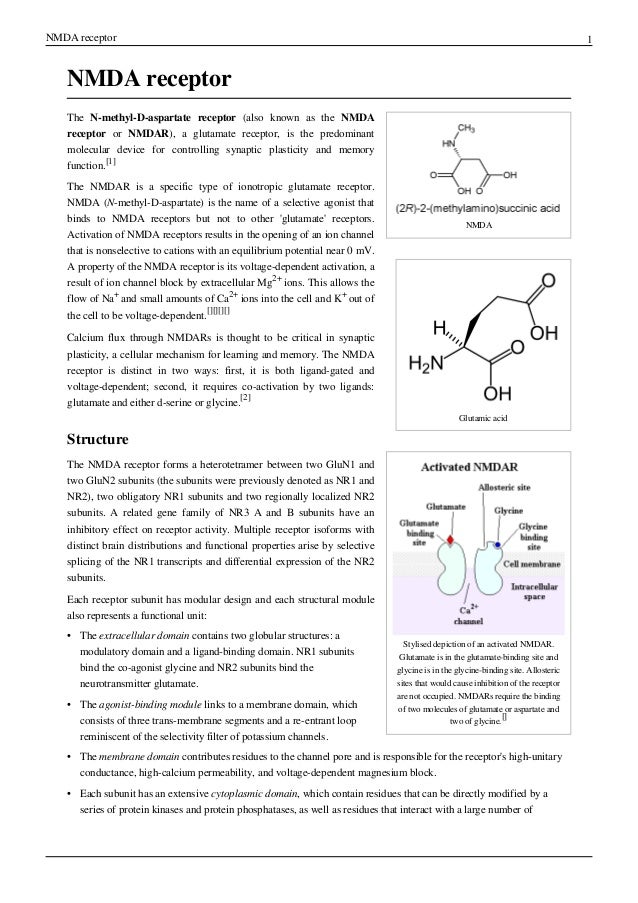 nmda n-methyl-d-aspartate receptor