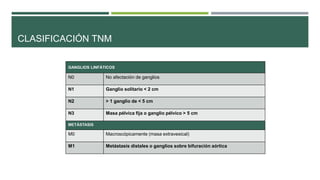 CLASIFICACIÓN TNM 
GANGLIOS LINFÁTICOS 
N0 No afectación de ganglios 
N1 Ganglio solitario < 2 cm 
N2 > 1 ganglio de < 5 cm 
N3 Masa pélvica fija o ganglio pélvico > 5 cm 
METÁSTASIS 
M0 Macroscópicamente (masa extravesical) 
M1 Metástasis distales o ganglios sobre bifuración aórtica 
 
