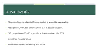 ESTADIFICACIÓN 
 El mejor método para la estadificación local es la resección transuretral. 
 Al diagnóstico, 60 % son tumores únicos y 75 % están localizados. 
 CIS: progresión en 50 – 75 %, multifocal, CA asociado en 26 – 60 % 
 Invasión de muscular propia 
 Metástasis a hígado, pulmones y MO; fístulas 
 