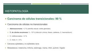 HISTOPATOLOGÍA 
 Carcinoma de células transicionales: 90 % 
 Carcinoma de células no transicionales 
 Adenocarcinoma: < 2 % (extrofia vesical, cistitis glandular) 
 C. de células escamosas: 5 – 10 % (infección crónica, litiasis, catéteres, S. haematobium) 
 C. indiferenciados: < 2 % 
 C. mixto: 4 – 6 % 
 Cánceres epiteliales y no epiteliales raros 
 Metastásicos: melanoma, linfoma, estómago, mama, riñón, pulmón, hígado 
 