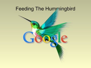 Feeding The Hummingbird

 