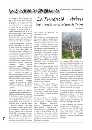 Amb entitat (i experiència)
Amb entitat (i experiència) Amb entitat (i experiència)
La Fundació Més Arbres neix,
ara fa 18 mesos, amb l’objectiu
d’impulsar una nova cultura
de l’arbre que contribueixi a un
canvi d’actitud en la relació amb
el nostre entorn. Aquesta nova
cultura ha de situar l’arbre en el
paper determinant que té per al
manteniment de la vida al planeta,
davant el model que hem creat
els homes i que ens està portant a
situacions ambientals critiques per
la manca d’iniciatives sostenibles.
Conscient que plantar i mantenir
arbres constitueix, al costat de
la reducció de les emissions de
CO2
, un dels pilars bàsics de
l’actuació personal i col·lectiva per
a contrarestar les conseqüències
de l’escalfament global a causa de
l’increment de l’efecte hivernacle
originat per les activitats humanes,
la Fundació Més Arbres considera
com la seva finalitat primordial
promoure, donar suport,
assessorar, gestionar i finançar
iniciatives serioses i viables per a la
plantació i manteniment d’arbres.
Per a impulsar la presa de
consciència personal i social en
temesderesponsabilitatecològica,
la Fundació Més Arbres organitza
cursos, seminaris, jornades,
trobades i congressos. També
col·labora en l’edició i distribució
dematerialinformatiu,divulgatiu
i didàctic.
En aquest sentit cal destacar
projectescomlesagendesescolarsi
solidàries,mitjançantlesqualsmés
de 40.000 nens i nenes de tot l’estat,
comprant-les a un preu de 3 euros,
estan col·laborant en la campanya
de plantació de la fundació; es
plantaran més de 400.000 arbres
i arbustos aquest 2009; més
recentment, el nostre primer taller
de nendo dango o pindolització de
llavors a Alcaraz, que va aplegar a
més de 100 persones per impulsar
la gran olimpíada verda, projecte
que consisteix en desenvolupar
tallers de nendo dango per tota la
península ibèrica que possibilitin
que milers de persones en
coneguin la tècnica.
Elnendodangoesunatècnicaqueva
evolucionar el pare de l’agricultura
MasanobuFukuokaiqueconsisteix
en empastifar llavors en una capa
d’argila, fer boles d’argila d’una
grossor determinada depenent
de la grandària de cada llavor. La
finalitat és protegir-la una vegada
dipositadaenelterrenyievitarque
sigui aliment d’ocells, rosegadors
i altres animals. Les llavors estan
protegides a l’espera de l’època
plujosa, moment en el qual l’argila
absorbeix l’aigua i la llavor i la
utilitza per a poder germinar.
El procés de desertificació en el
món és imparable: “Cal sembrar i
sembrar si volem poder oferir un
futur als nostres descendents”.
Durant 60 anys, Masanobu
Fukuoka va desenvolupar un
mètode d’agricultura natural, i
ara l’ha aplicat amb èxit per a
frenar la desertificació.
Fukuoka deia: “Quan llancem
nendo dango, sembrem com Déu.
Quan fem nendo dango cal sentir
que som Déu. Quan es fan els
nendo dango estem ficant ànima
a cada boleta d’argila i estem
sembrant vida”.
La nostra forma de treballar
aquesta nova cultura de l’arbre
és fer pinya i establir xarxes
amb empreses, particulars,
entitats, i associacions d’àmbit
local, estatal i internacional i
administracions públiques per
a crear i desenvolupar vies de
col·laboració. Des del primer
moment vam ser molt conscients
que el projecte era massa ambiciós
per fer-ho sols i massa necessari
per fer-ho malament.
La Fundació + Arbres
impulsant la nova cultura de l’arbre
Óscar Rando
La Fundació Més Arbres té el
compromís de funcionar com una
organització ètica, eficient i no
burocratitzadaquehad’optimitzar
els recursos en la consecució de les
nostres finalitats. Aquesta ètica no
només té aquesta vessant interna,
ja que alhora, i sent conscients del
món injust en què vivim, el 10%
dels nostres ingressos es destina
a projectes de cooperació per al
desenvolupament com el que
tenim a San Juan (Bolívia). És
urgent canviar aquest mon malalt,
com diu en Pere Casaldàliga.
En aquest moments preparem ja
la segona trobada internacional
d’amics dels arbres i el taller
peninsular d’agitadors mediam-
bientals, on formarem un bon
grapat d’agitadors i agitadores que
plantaran arbres per tot l’estat.
Es pot col·laborar de diferents
formes amb la fundació, i per
això us animem a visitar la nostra
web: www.mesarbres.cat. Aquí
podreu trobar tota la informació
actualitzada de les nostres
activitats i l’evolució dels nostres
projectes.
8
 