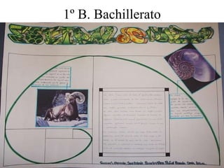 1º B. Bachillerato
